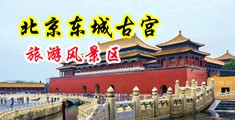 大鸡鸡操逼视频免费中国北京-东城古宫旅游风景区